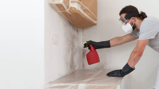 Professional Bathroom Mold Removal technician working in Ardmore, TN