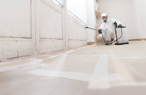 24/7 Emergency Bathroom Mold Removal experts in Ardmore, TN